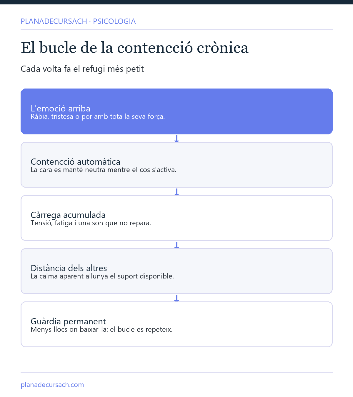 Figura del bucle de la contenció crònica: emoció que arriba, contenció automàtica, carrega acumulada al cos, distància dels altres i menys llocs on baixar la guàrdia