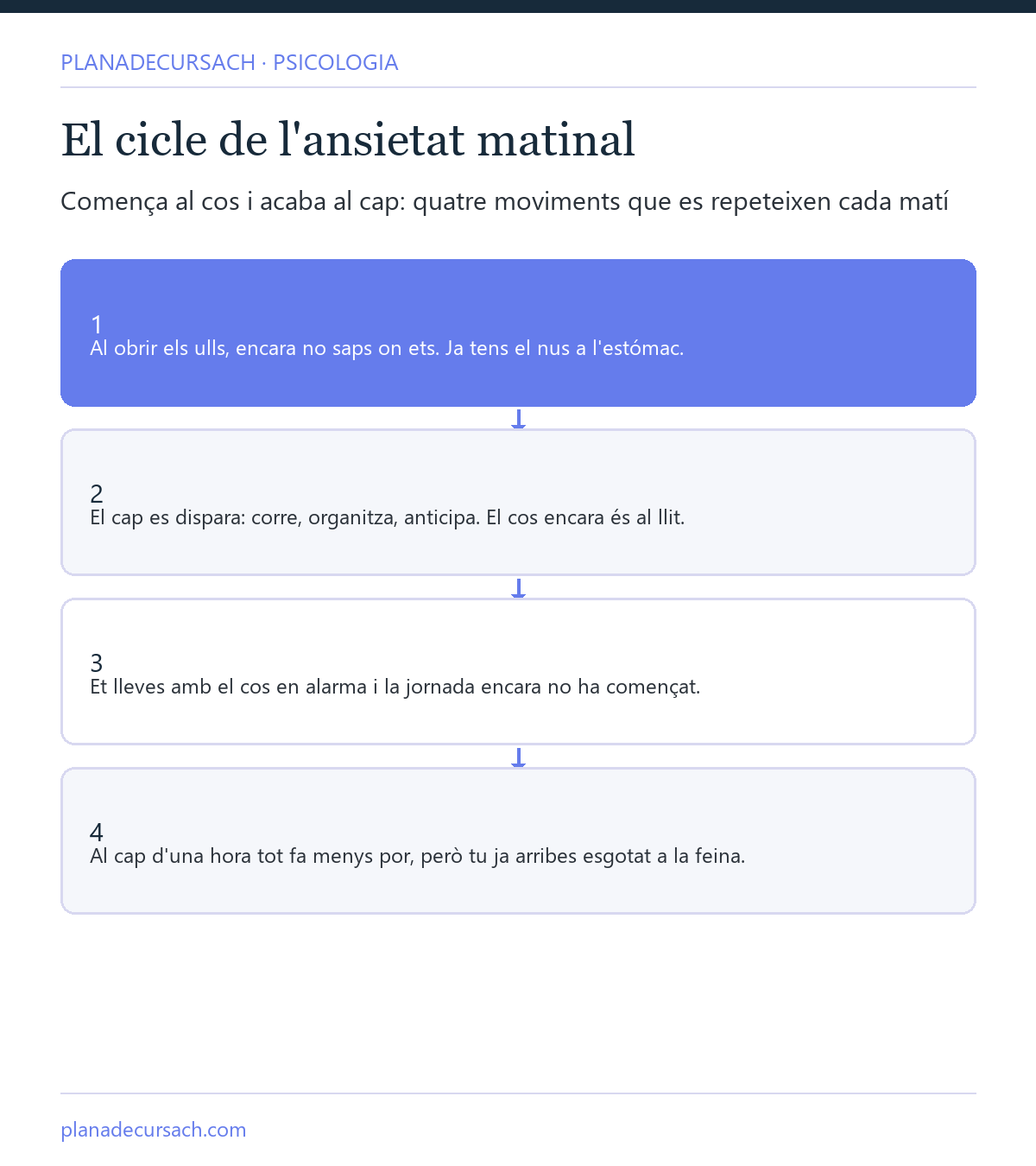 Esquema del cicle de l'ansietat matinal: del despertar amb el nus a l'estómac a arribar esgotat a la feina