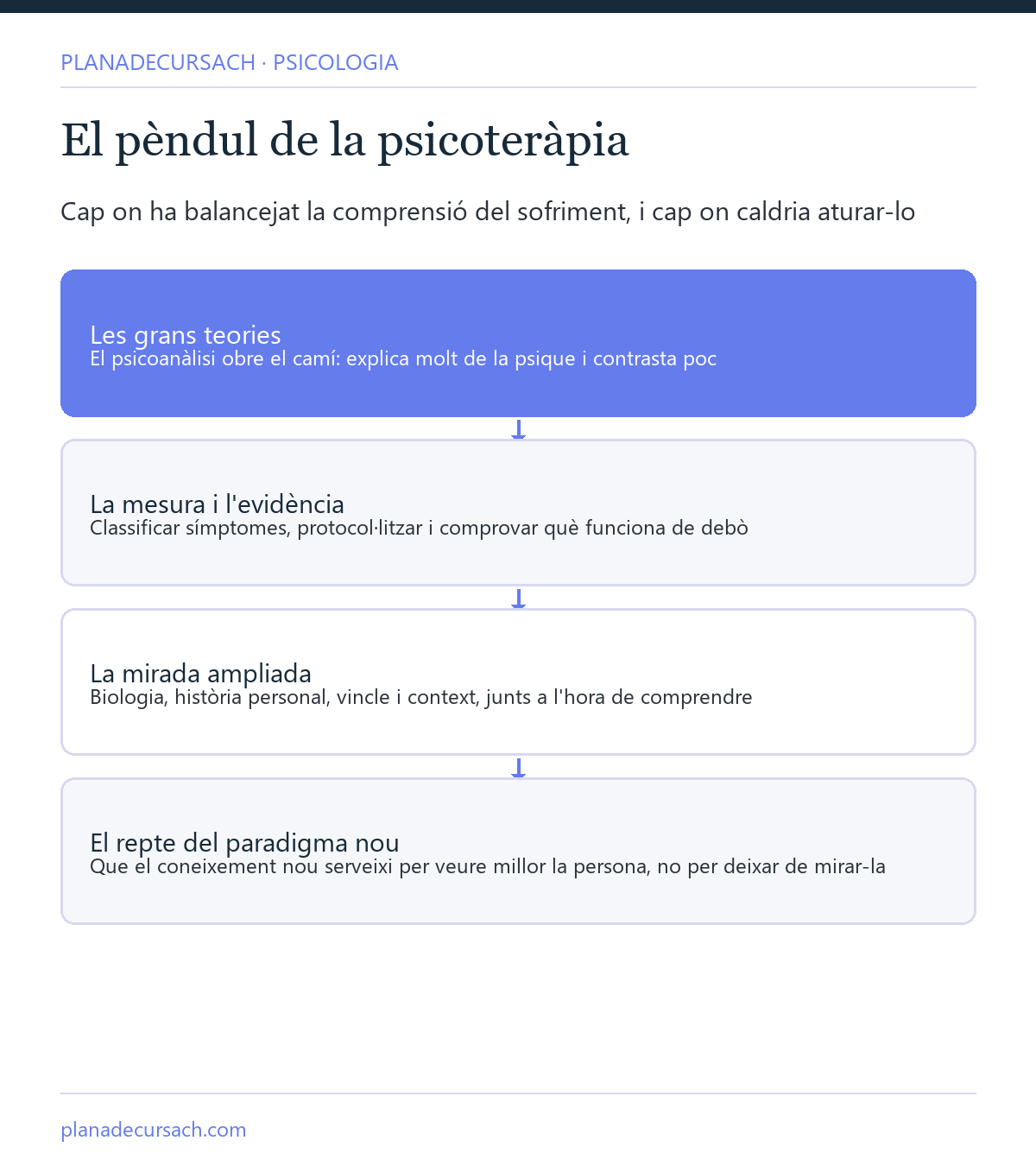 El pèndul de la psicoteràpia: de les grans teories a la mesura de l'evidència i cap a una mirada ampliada que integra biologia, història, vincle i context